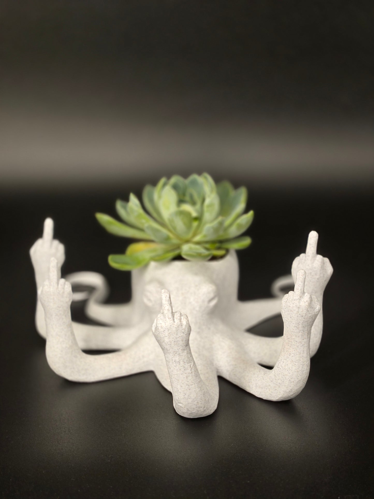 Octopus Planter