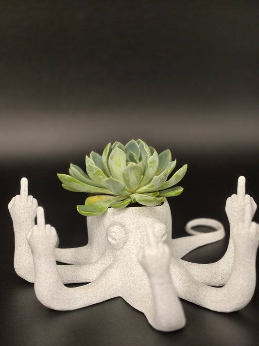 Octopus Planter