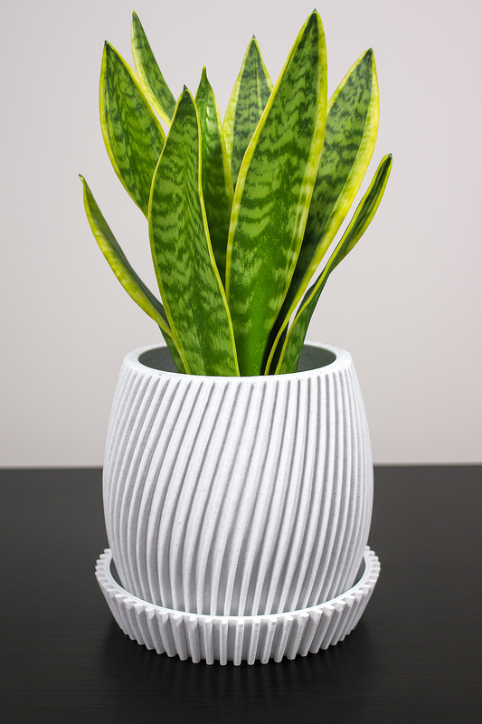 Ribbed Planter