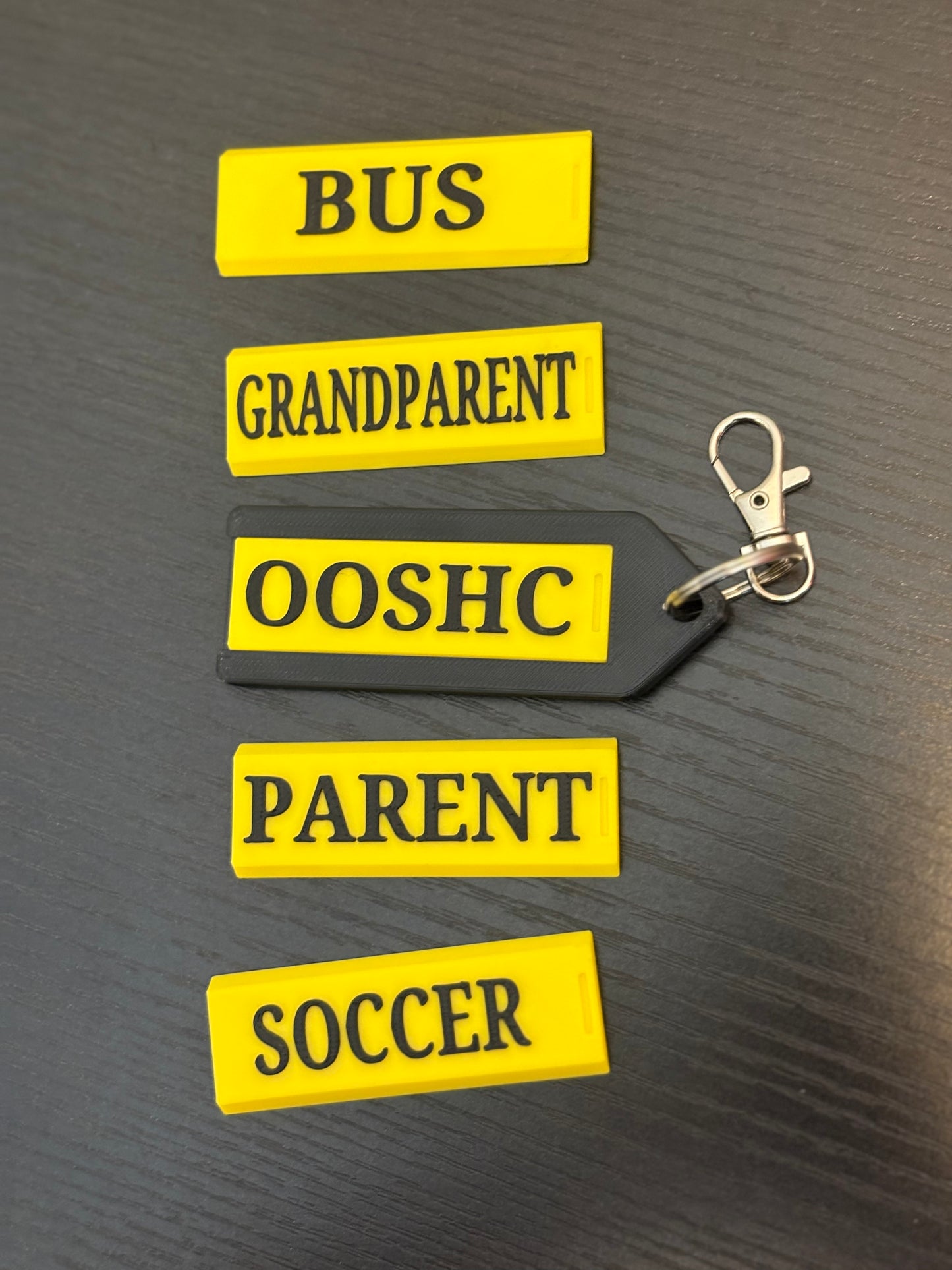 Interchangeable Bag Tag set