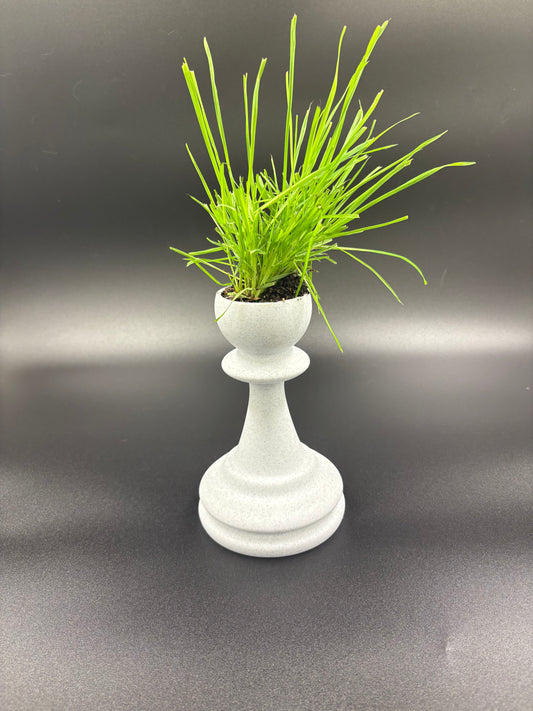 Chess Piece Planter