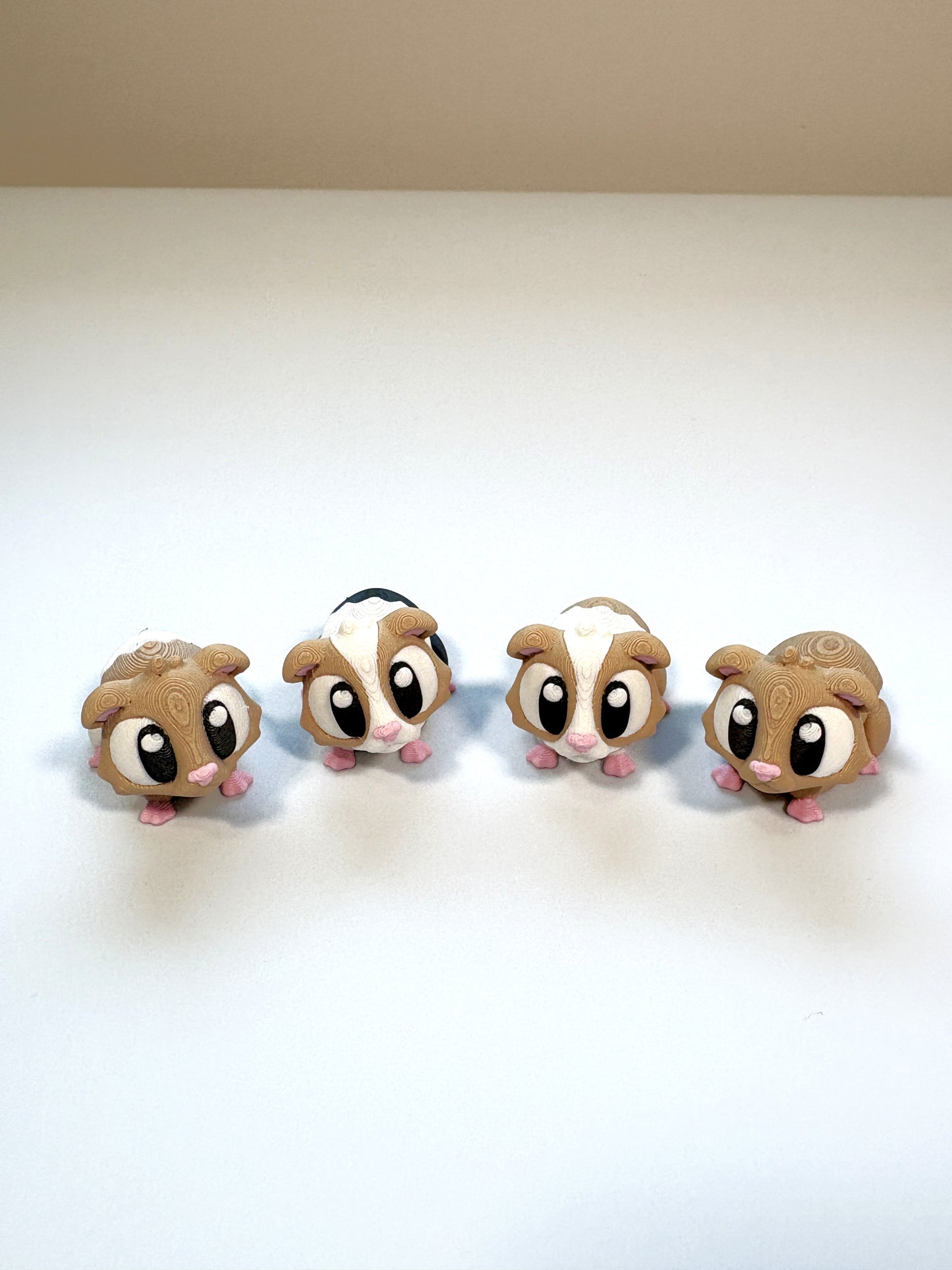 Guinea Pig - White & Brown