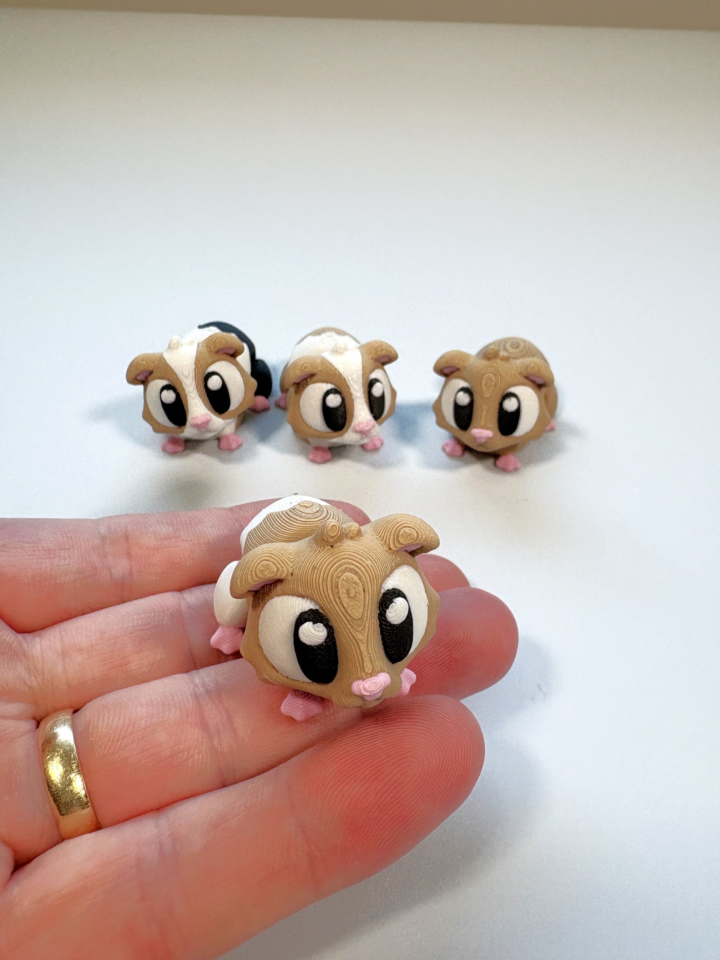 Guinea Pig - White & Brown