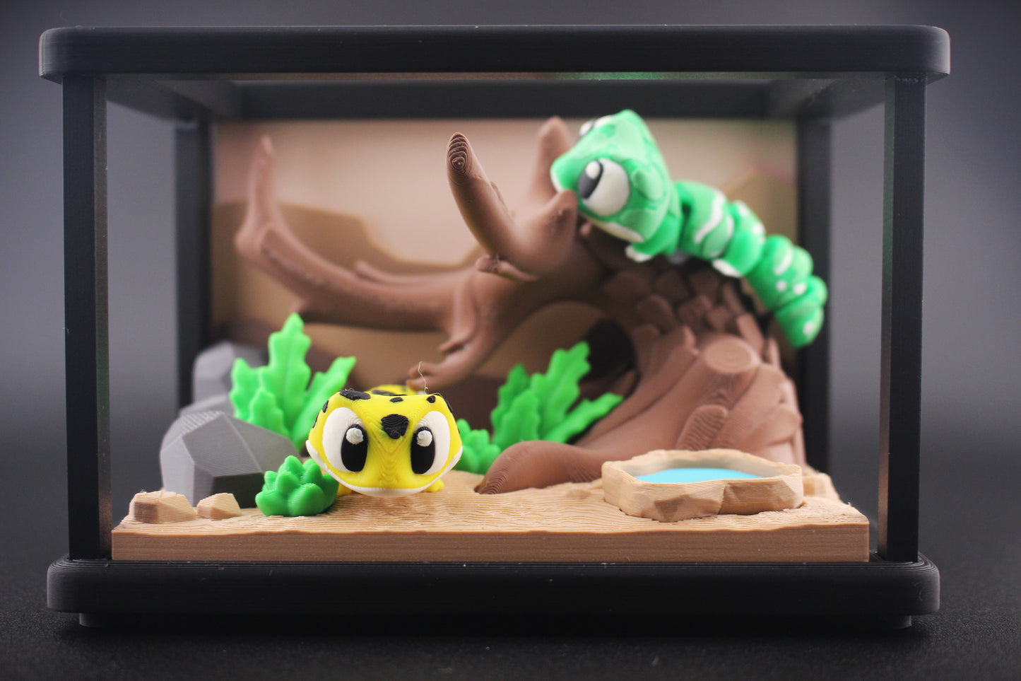 Reptile Enclosure