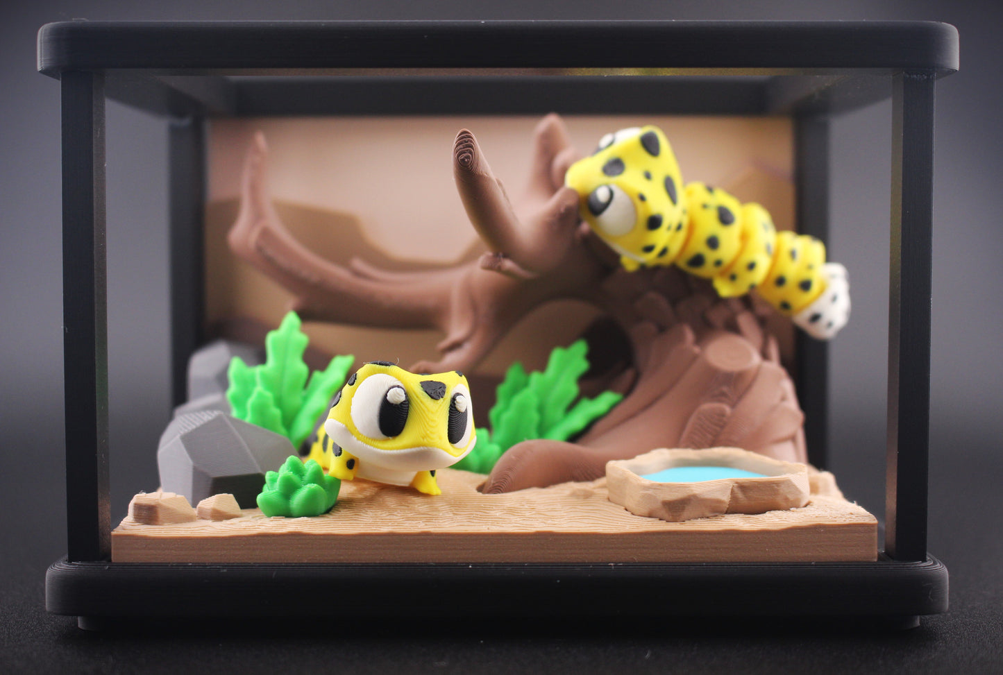 Reptile Enclosure