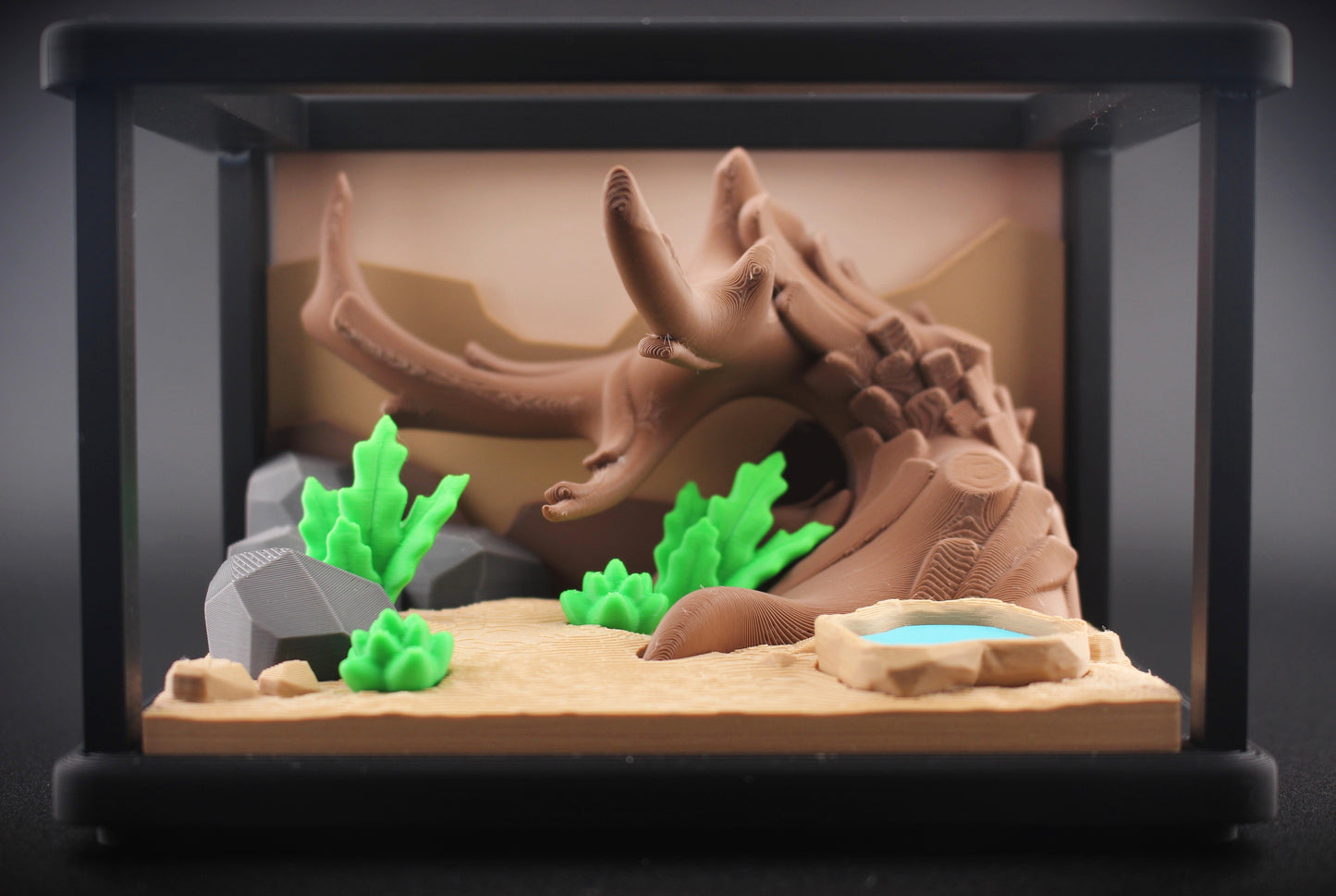Reptile Enclosure