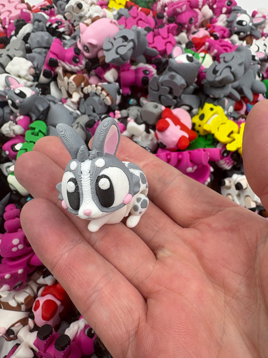 Bunny - White & Grey Boy