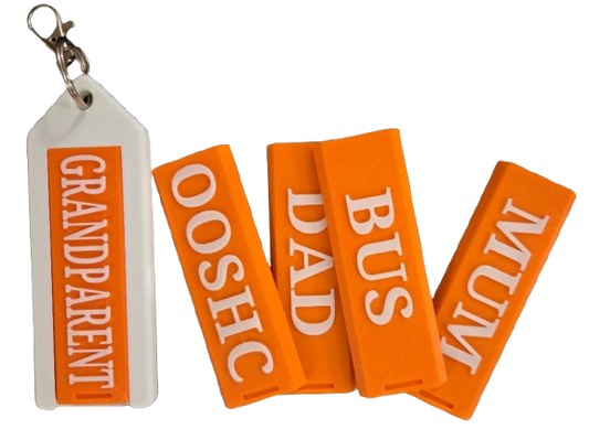 Interchangeable Bag Tag set