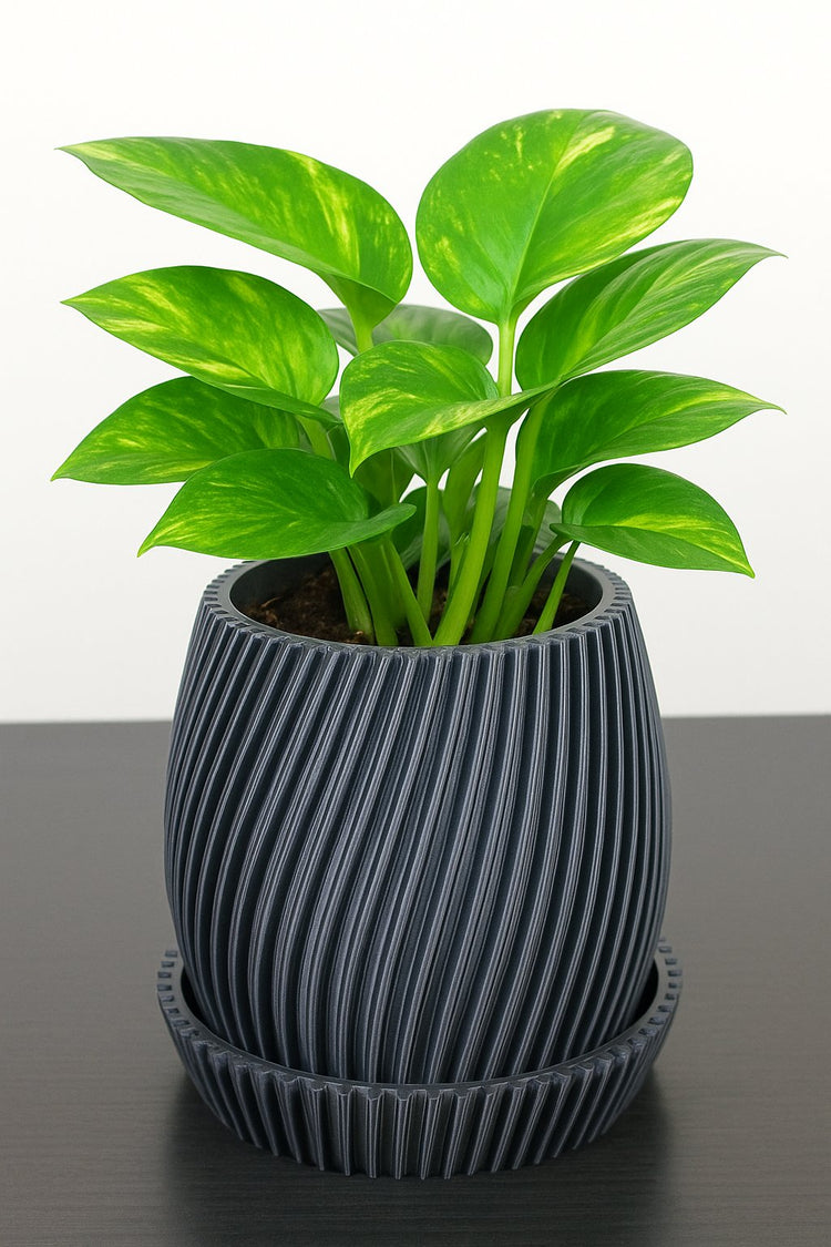 Planters
