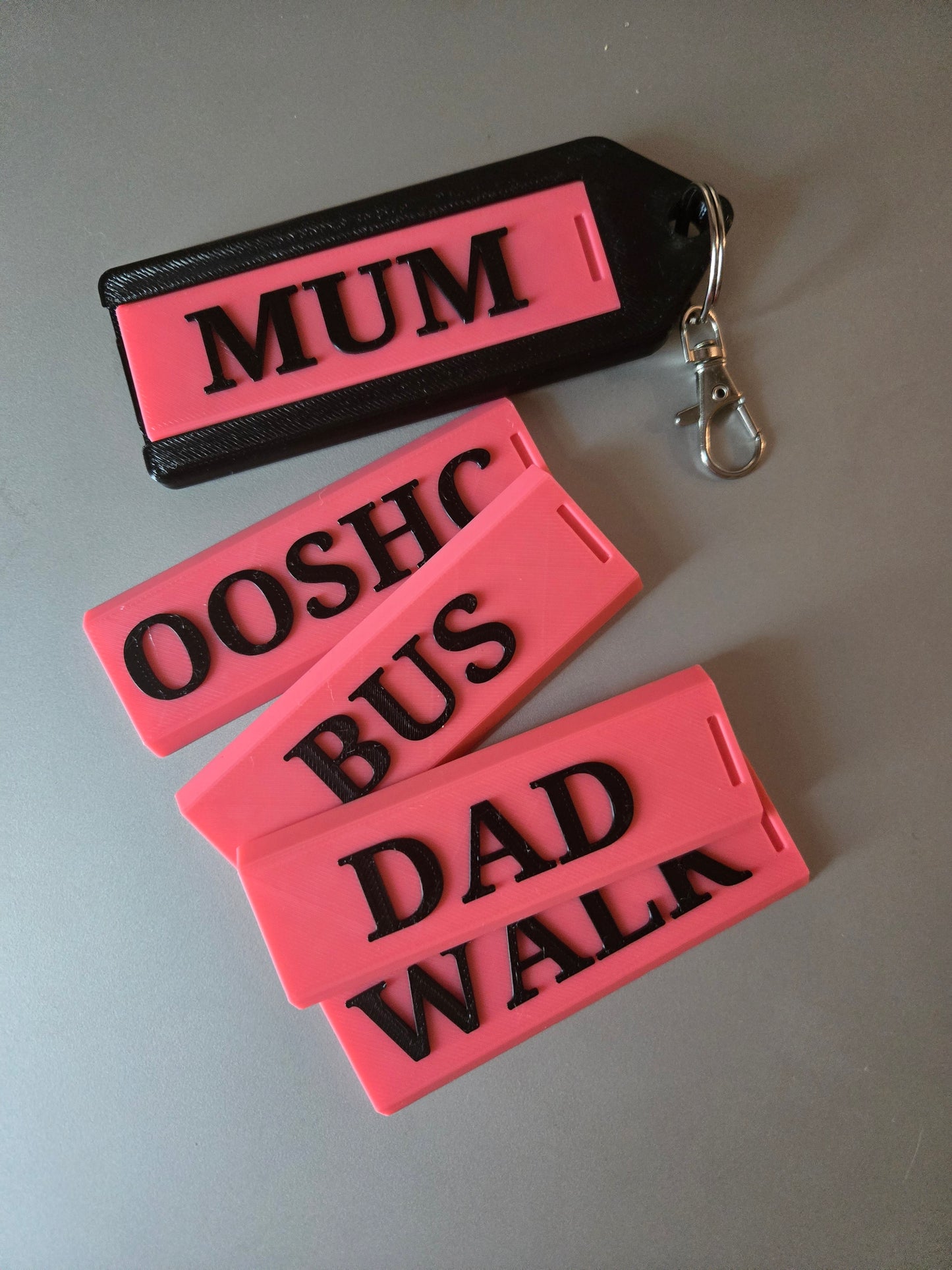 Interchangeable Bag Tag set