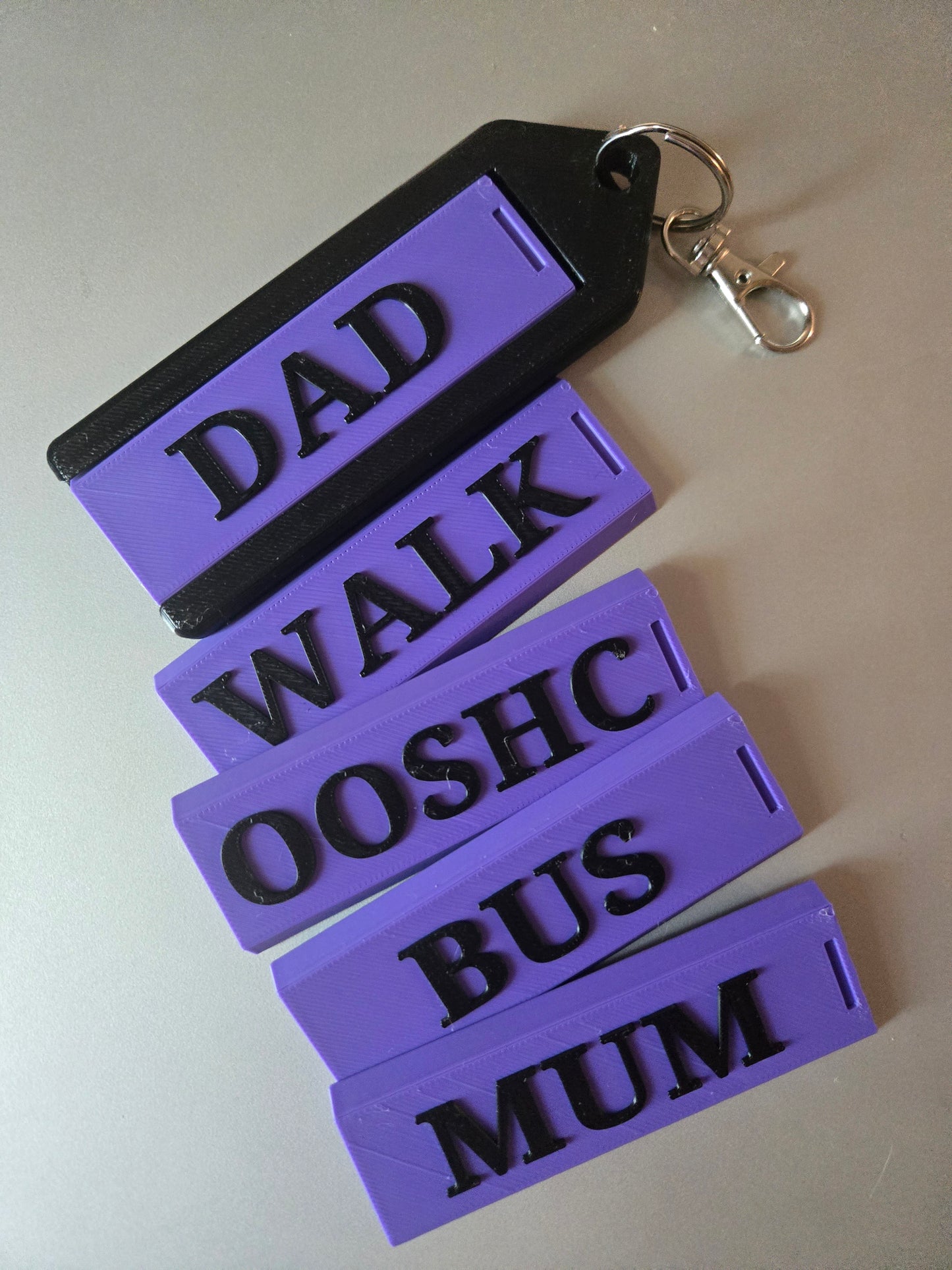 Interchangeable Bag Tag set