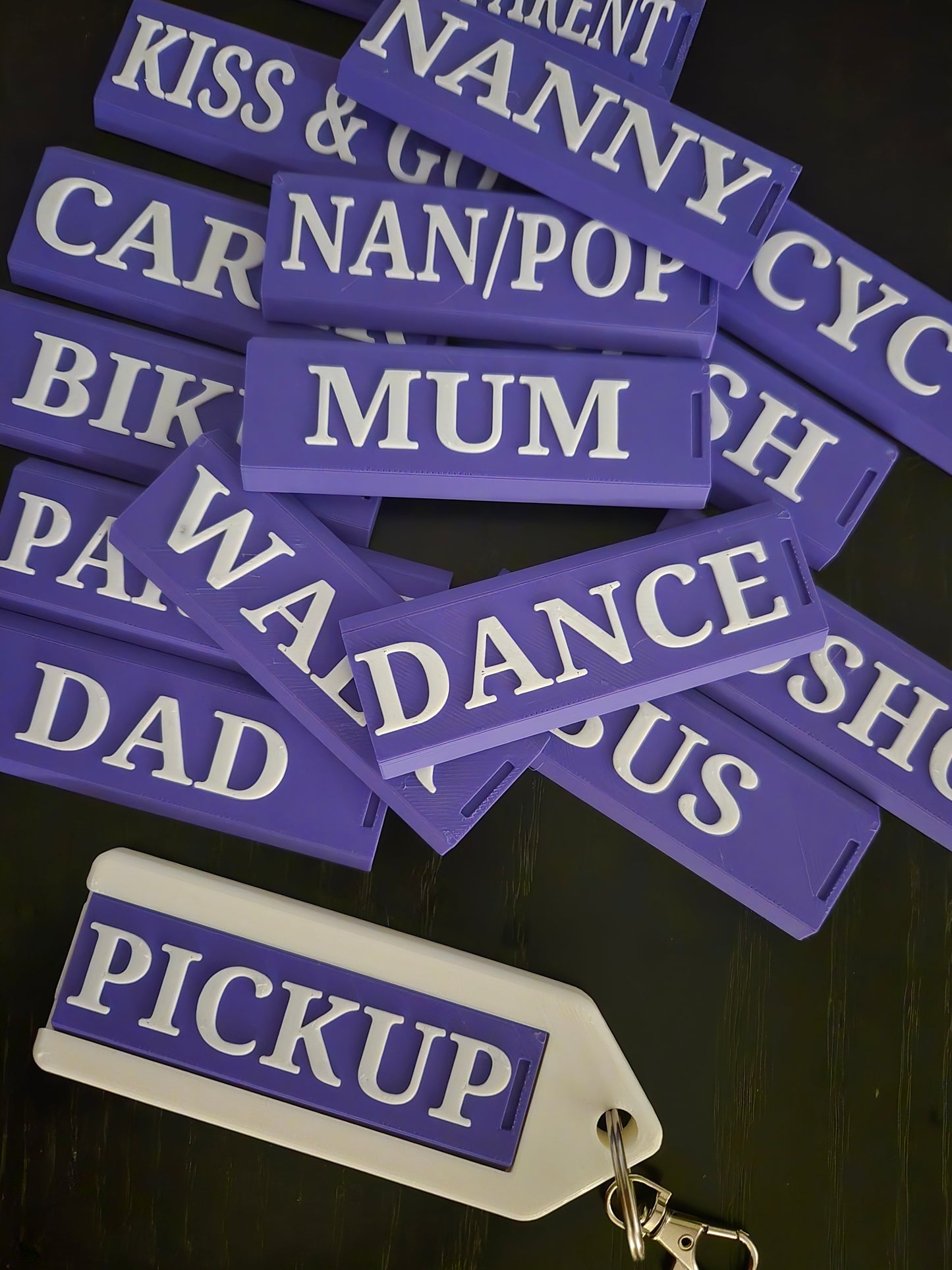 Interchangeable Bag Tag set