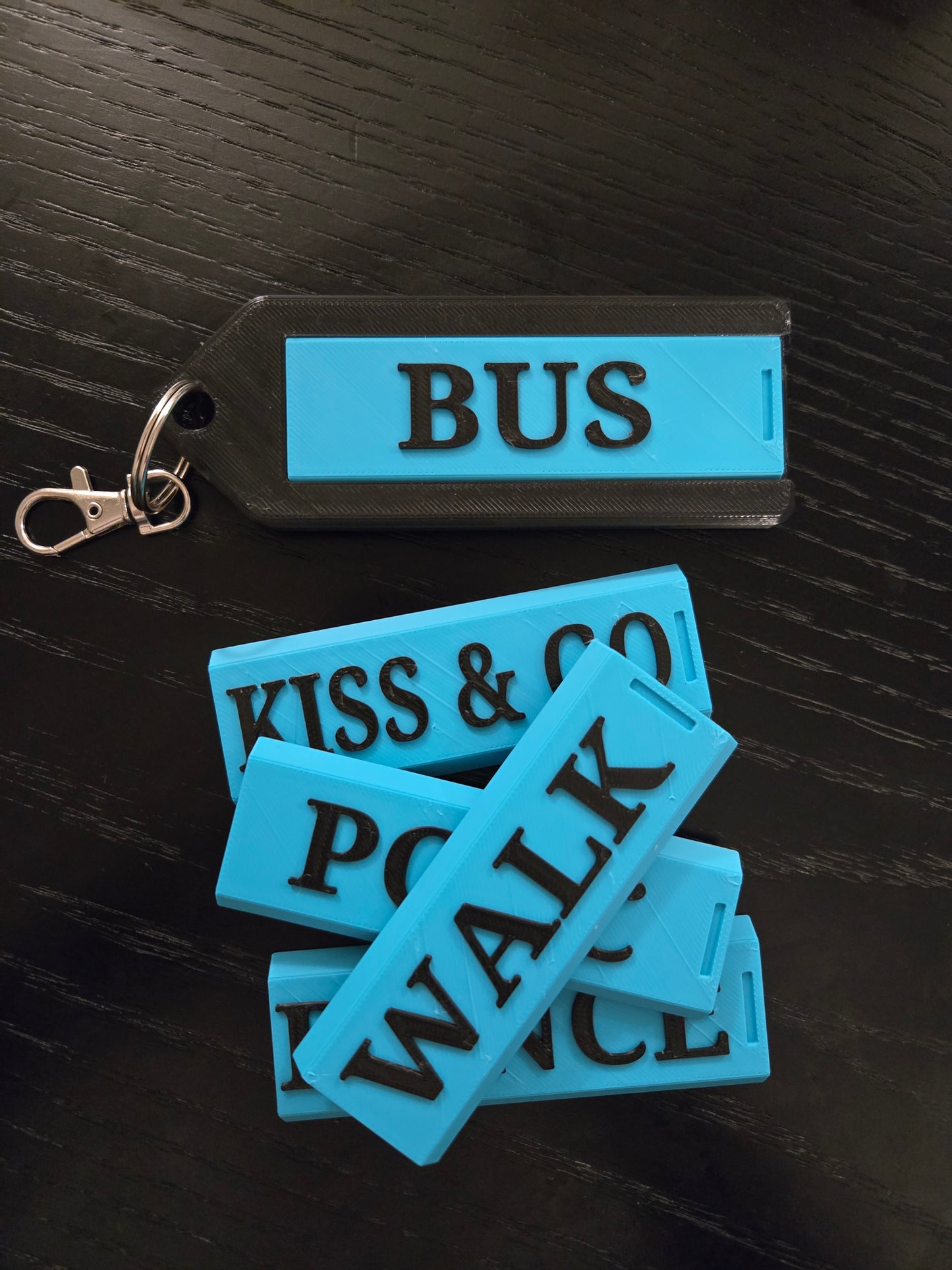 Interchangeable Bag Tag set