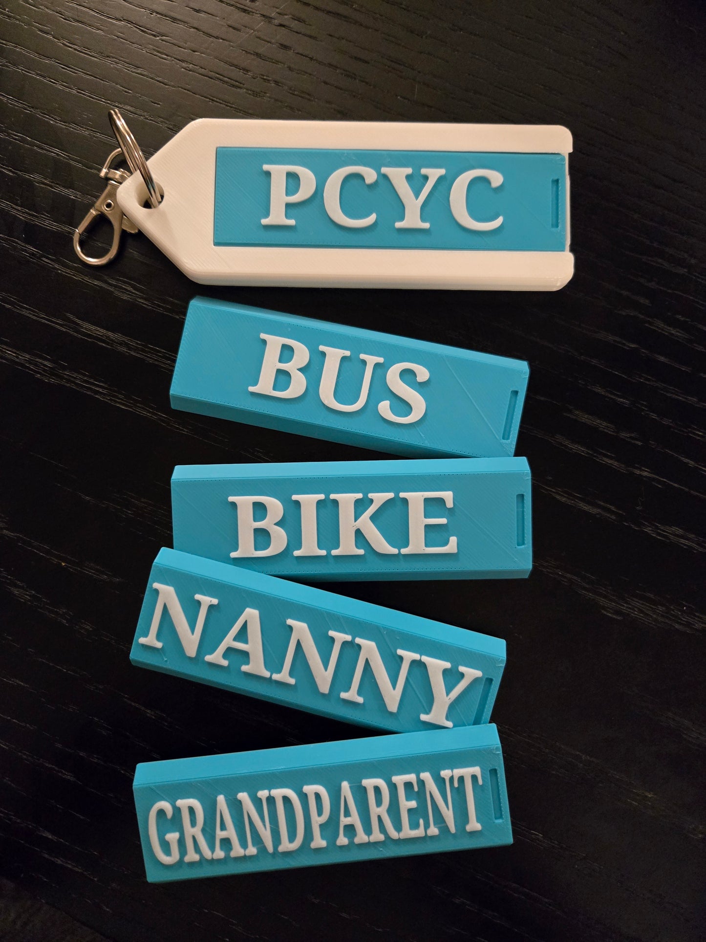 Interchangeable Bag Tag set
