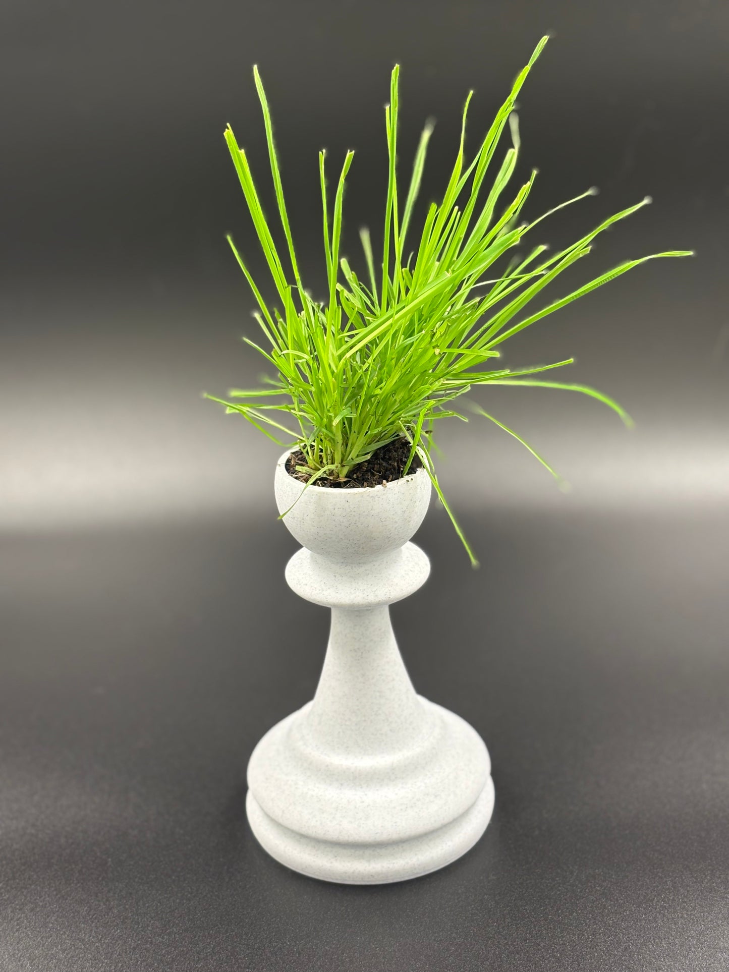 Chess Piece Planter