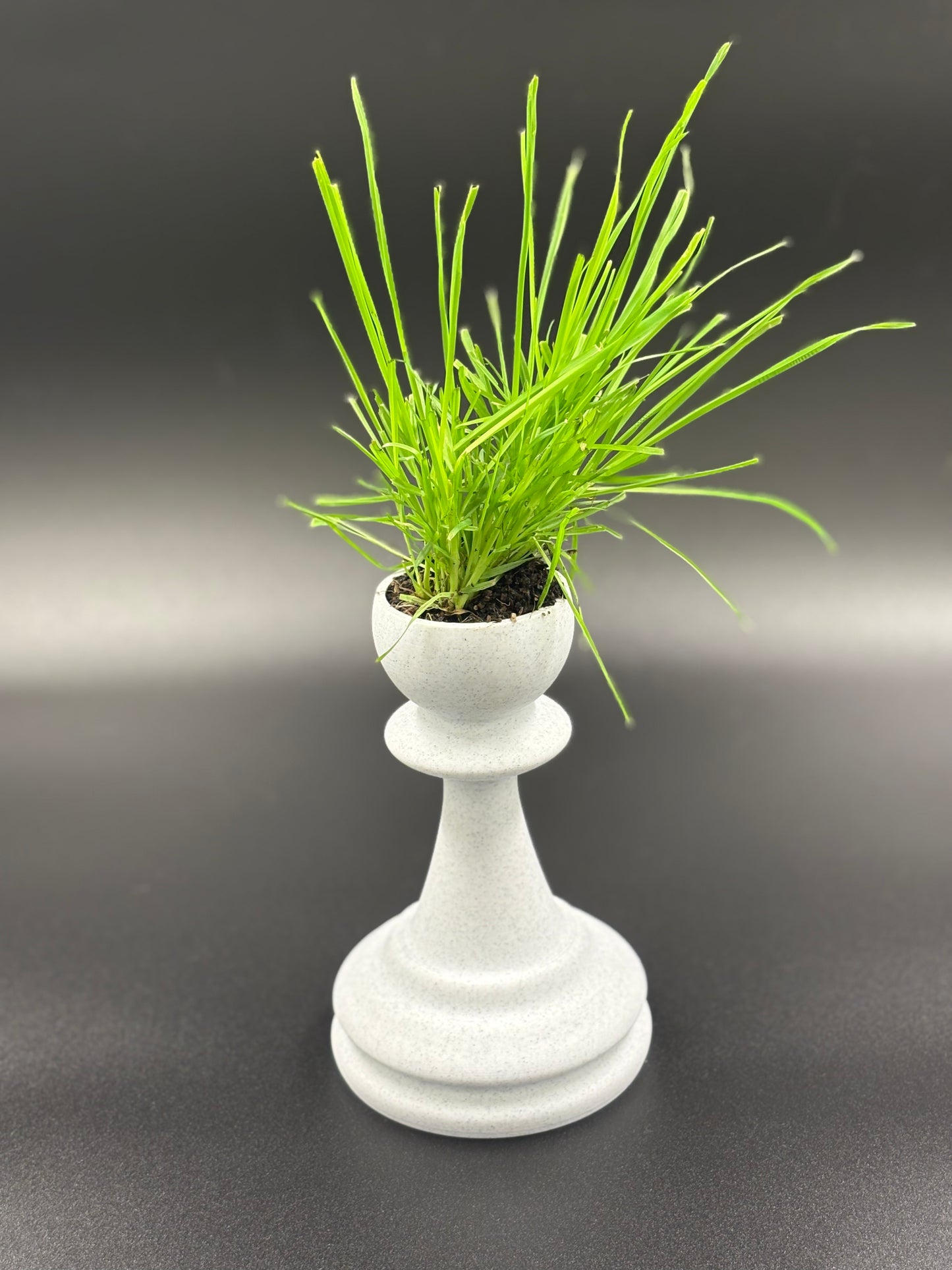 Chess Piece Planter