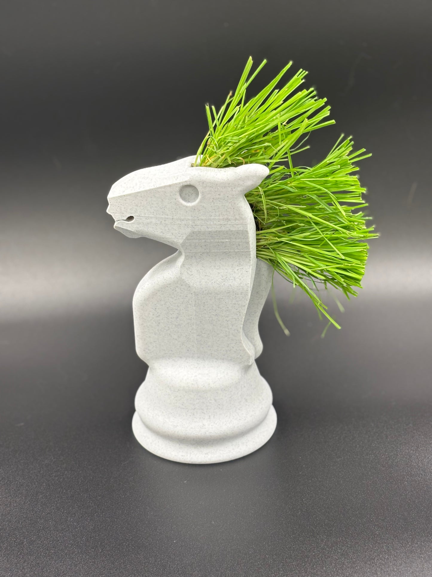 Chess Piece Planter