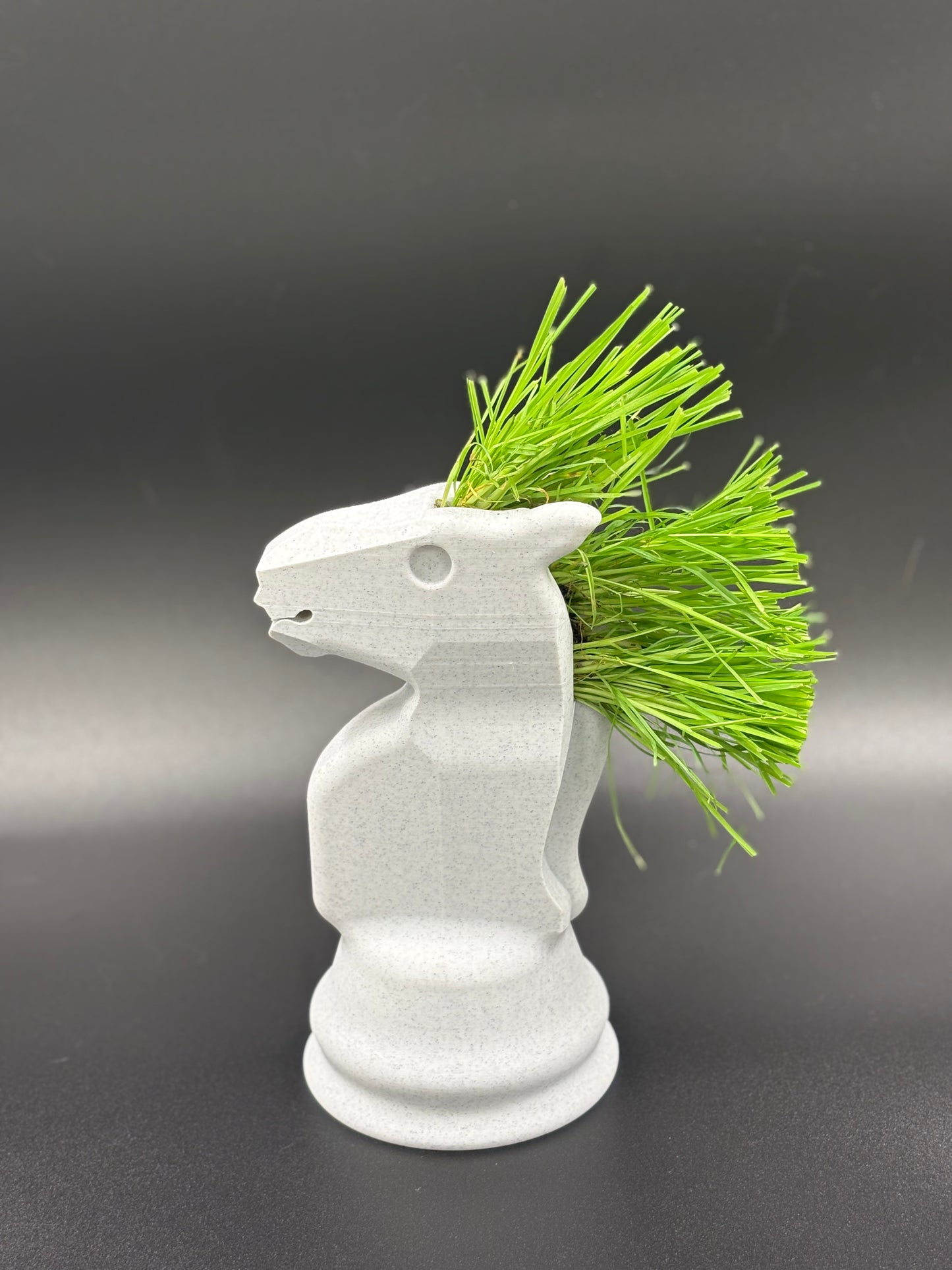 Chess Piece Planter
