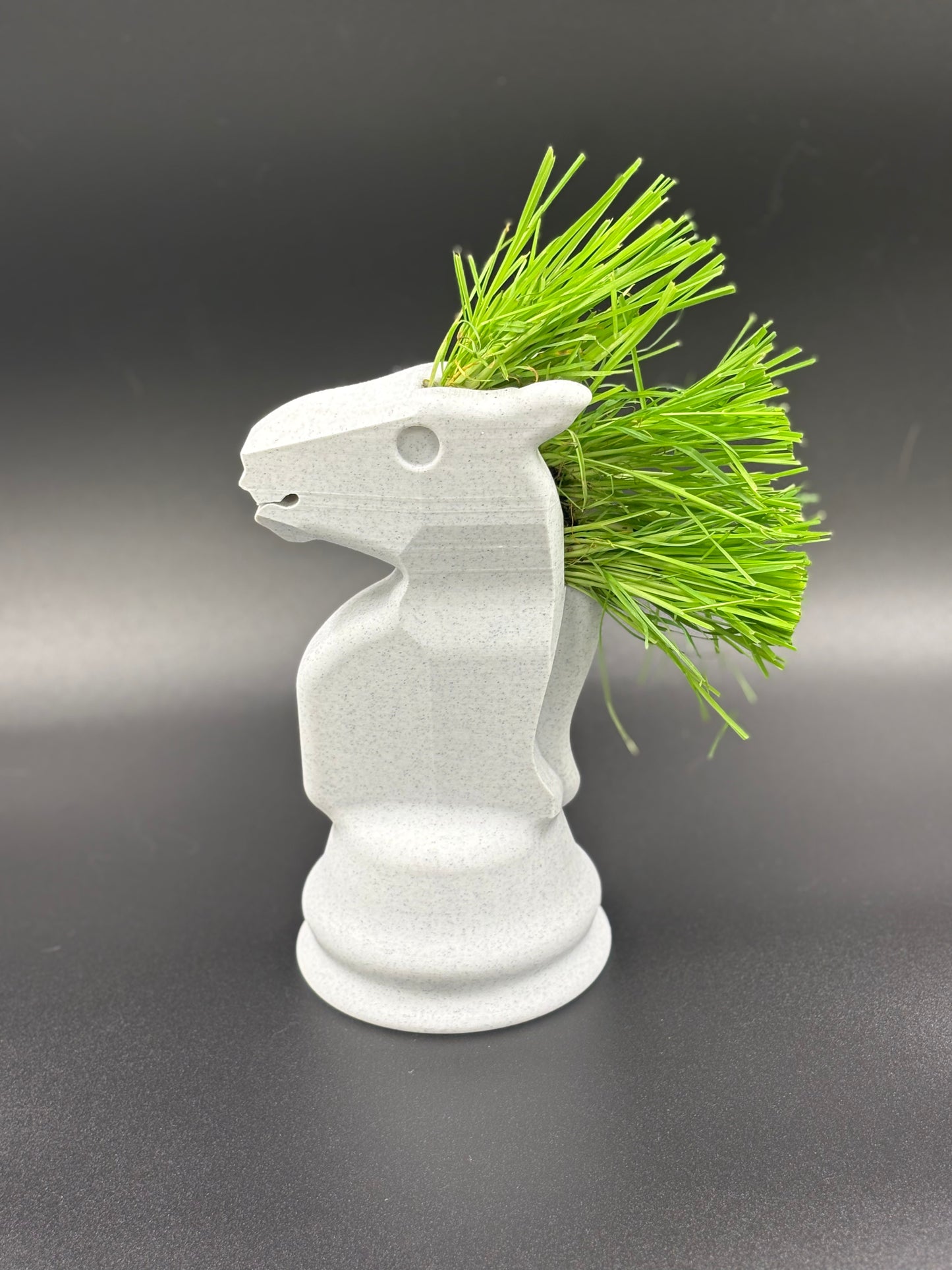 Chess Piece Planter