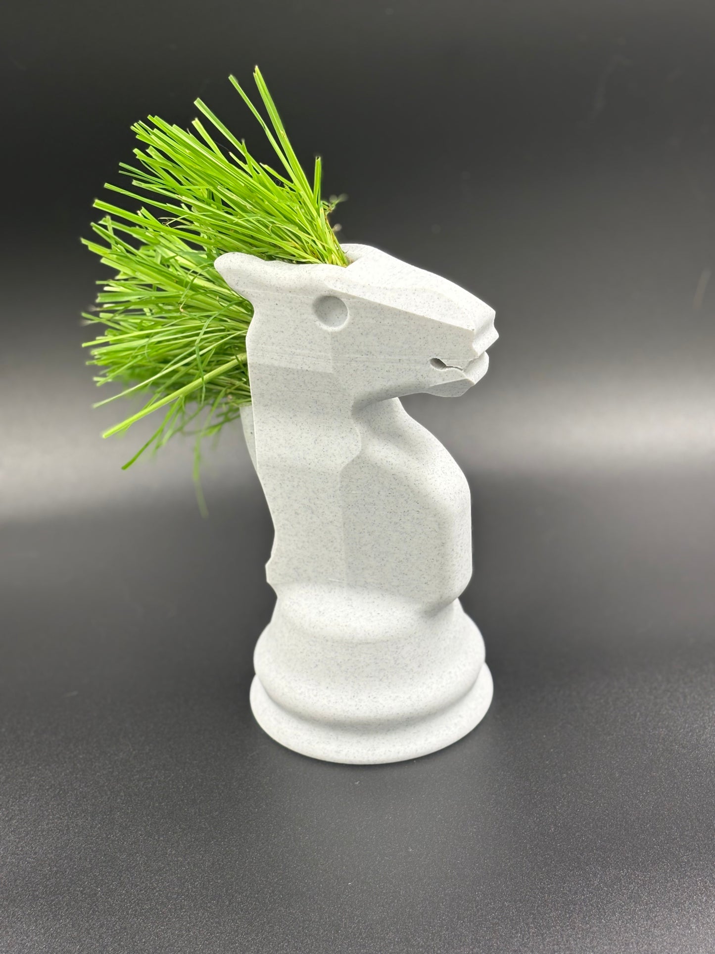 Chess Piece Planter