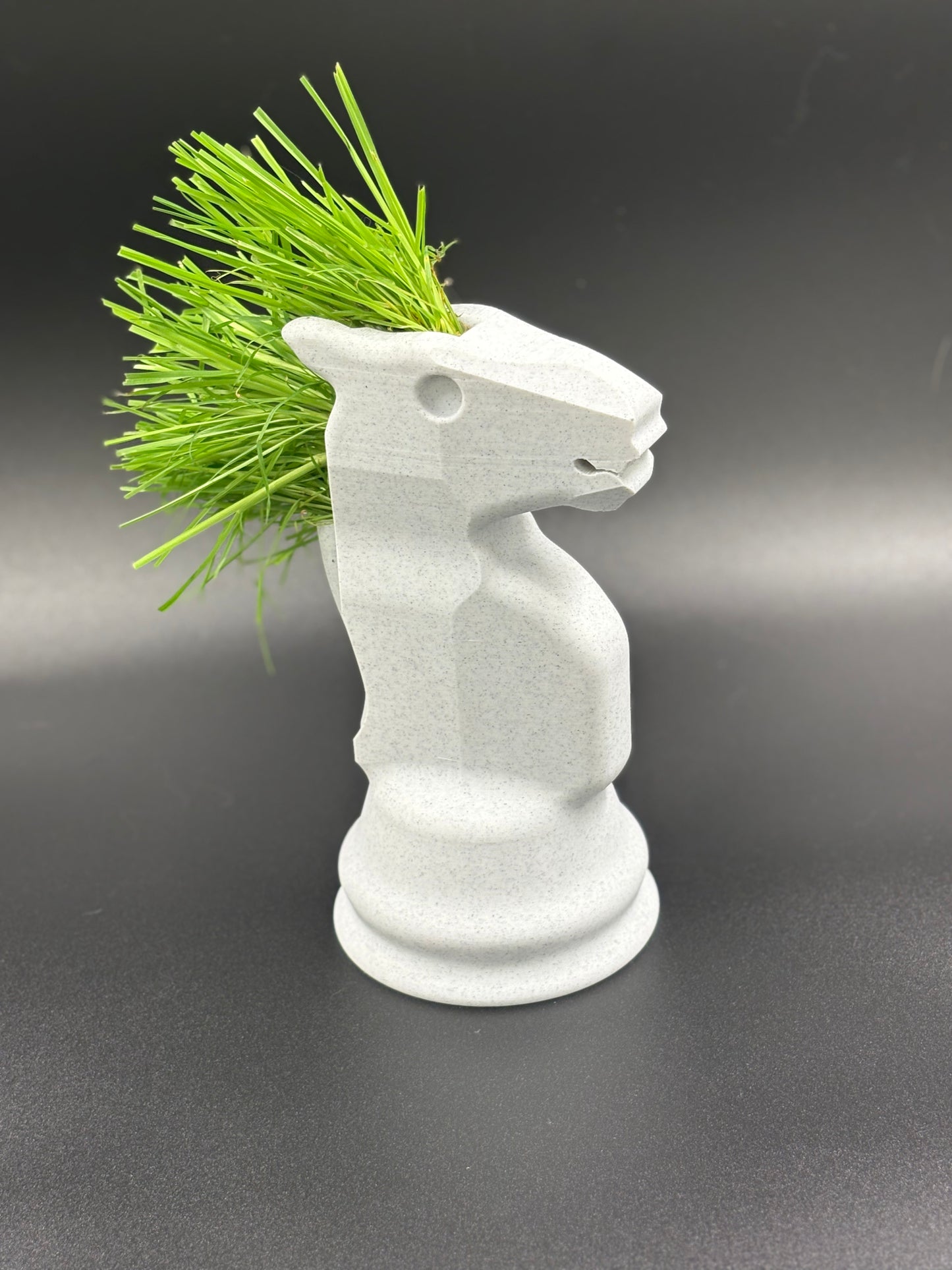 Chess Piece Planter