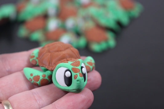 Sea Turtle