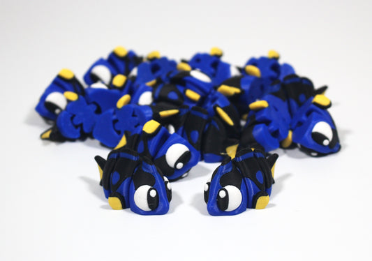 Surgeonfish