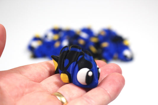 Surgeonfish