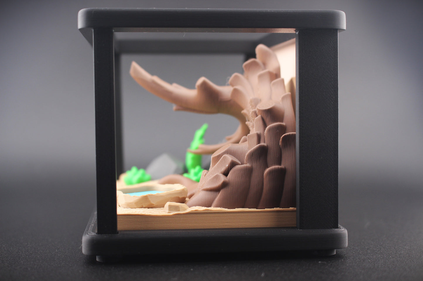 Reptile Enclosure