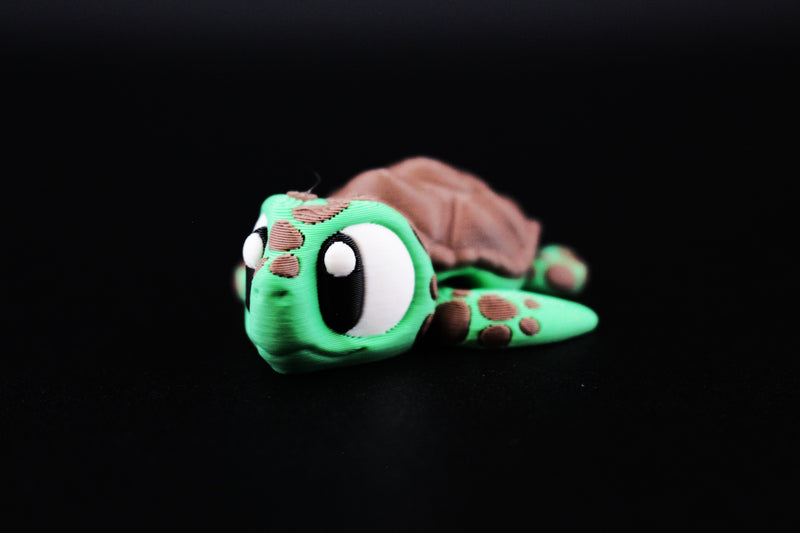 Sea Turtle