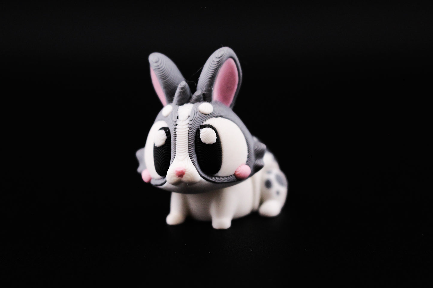 Bunny - White & Grey Boy