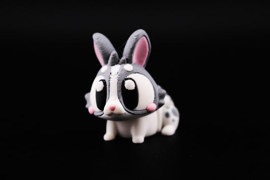 Bunny - White & Grey Boy