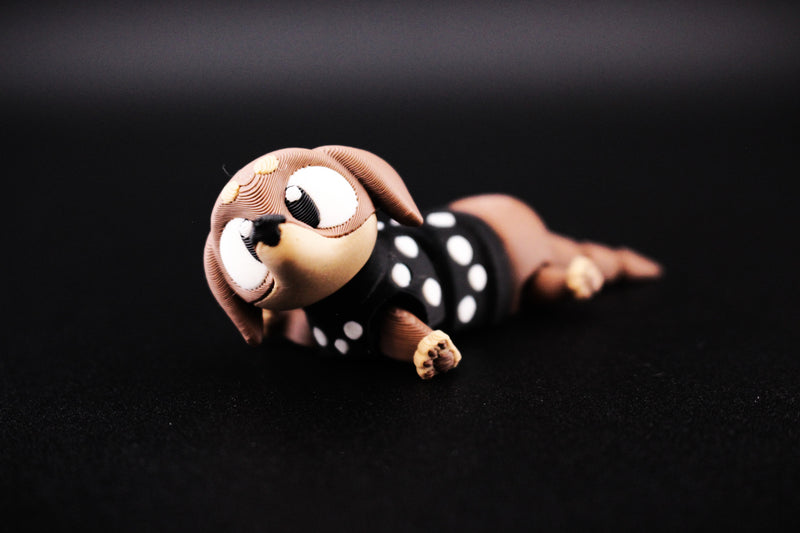 Dachshund