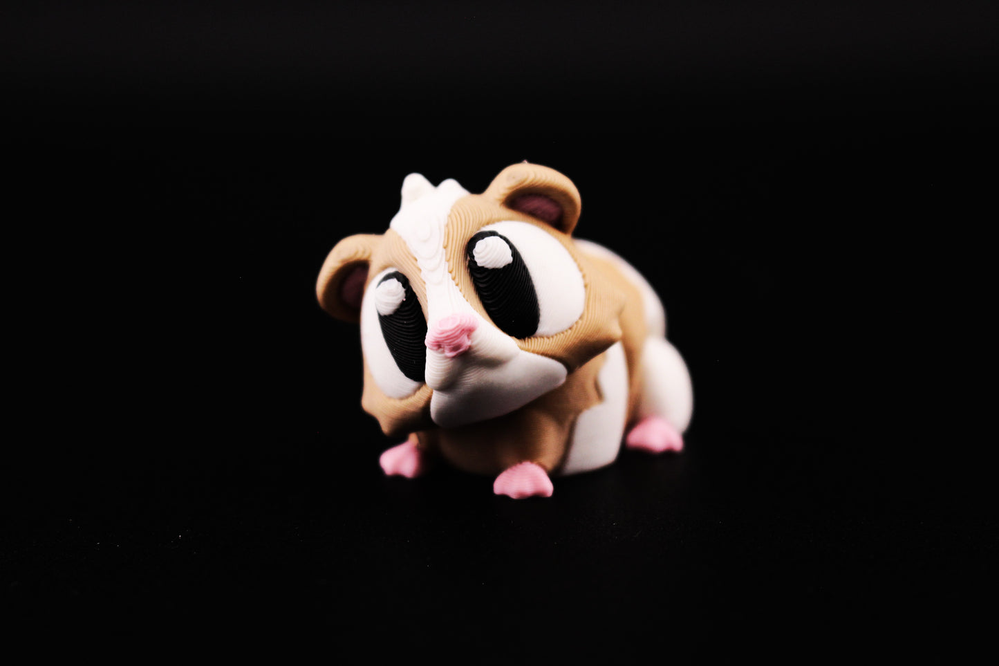 Guinea Pig - Brown & White