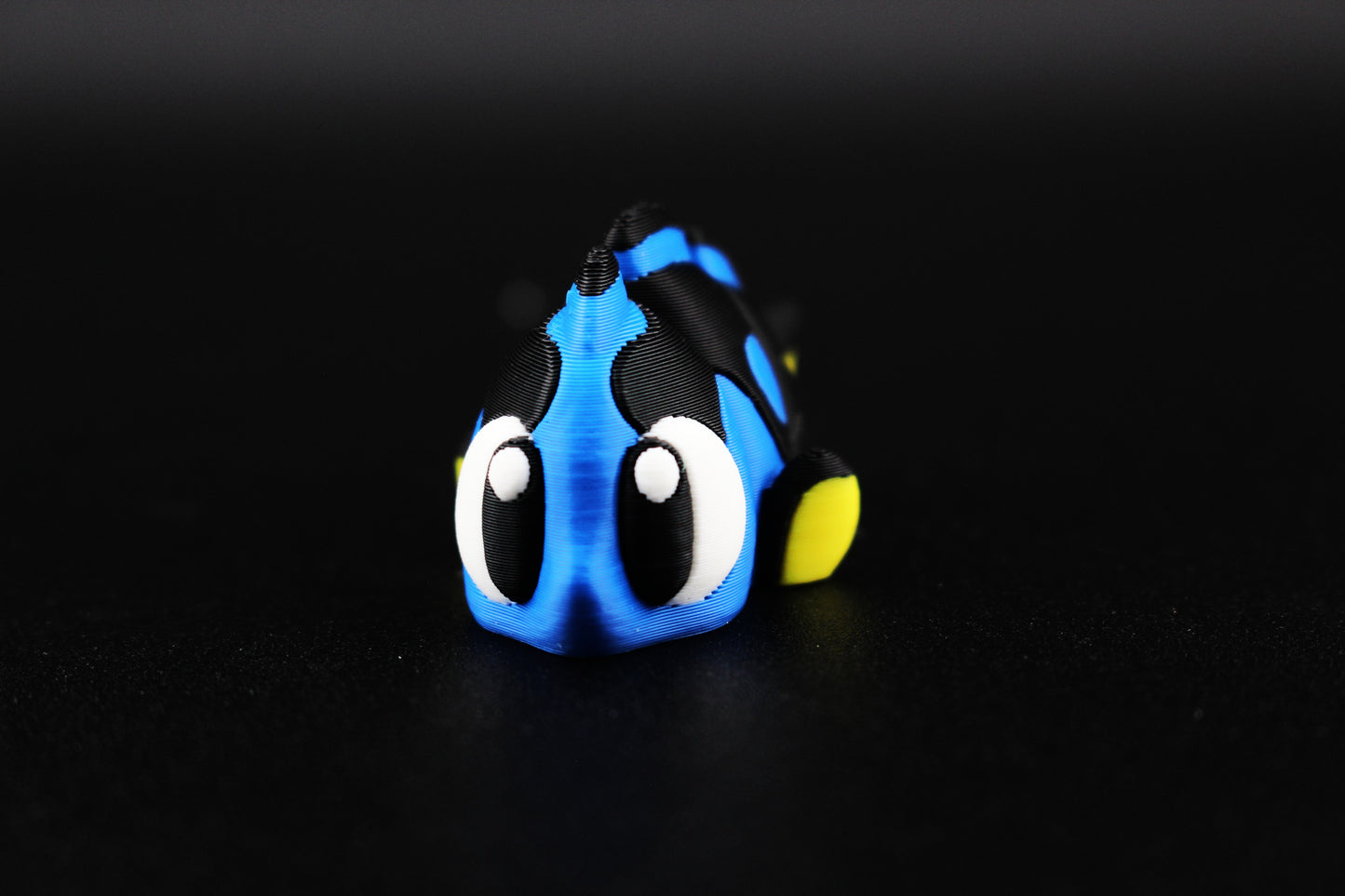 Surgeonfish