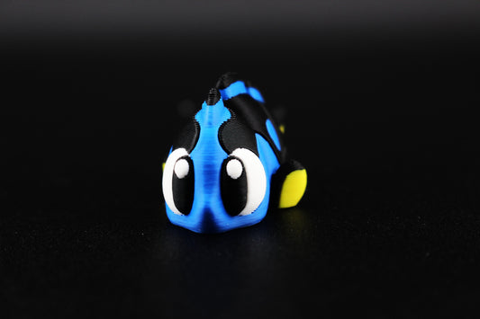 Surgeonfish