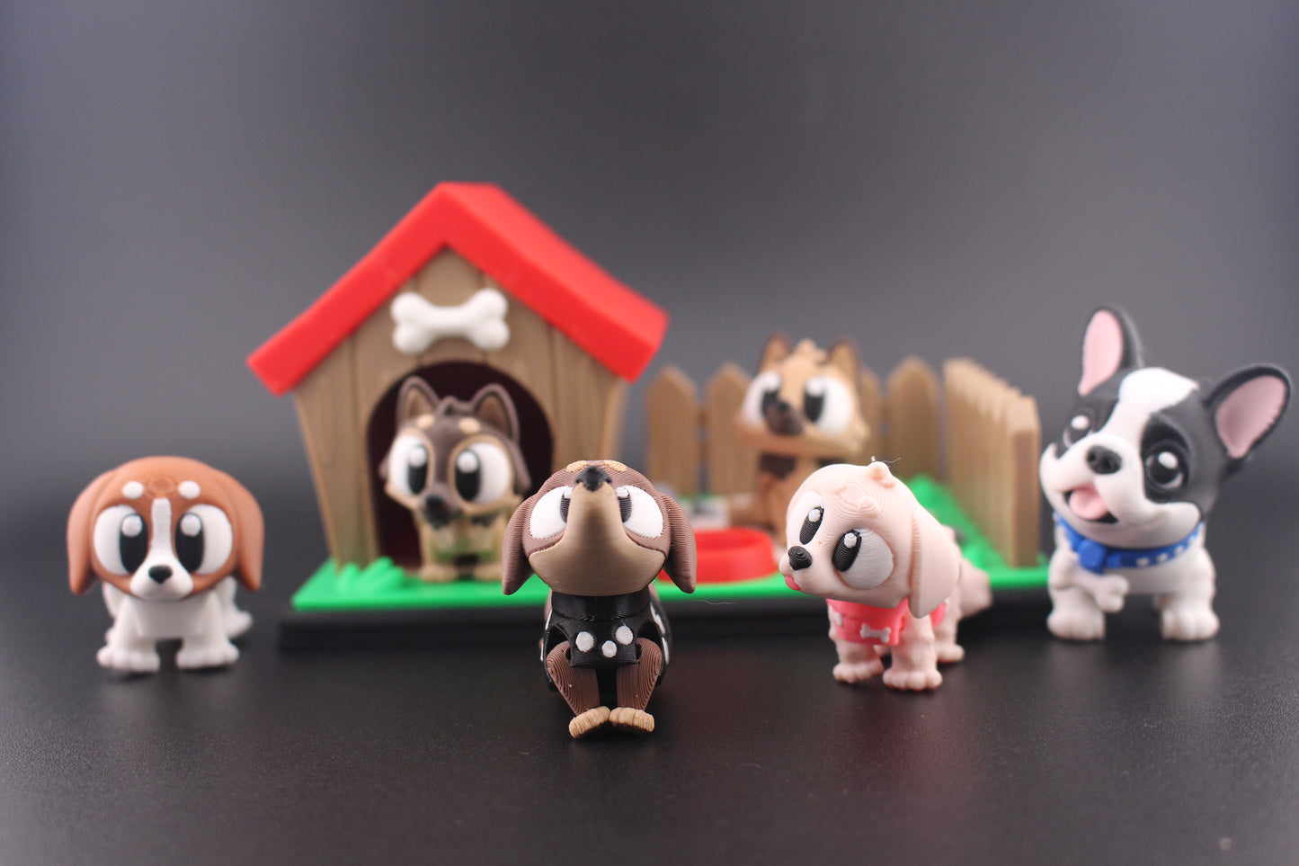 Dog Kennel and Yard