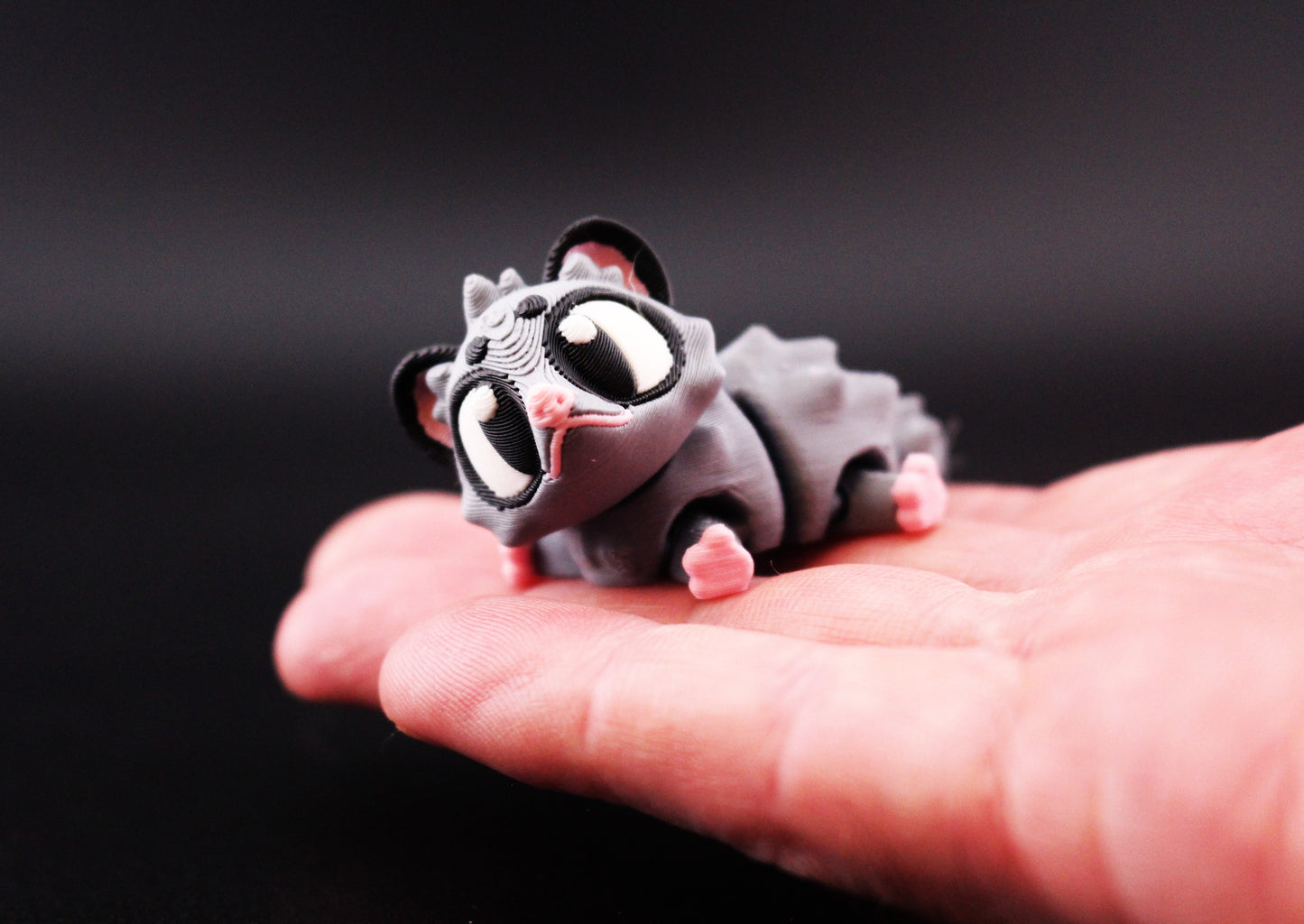 Possum