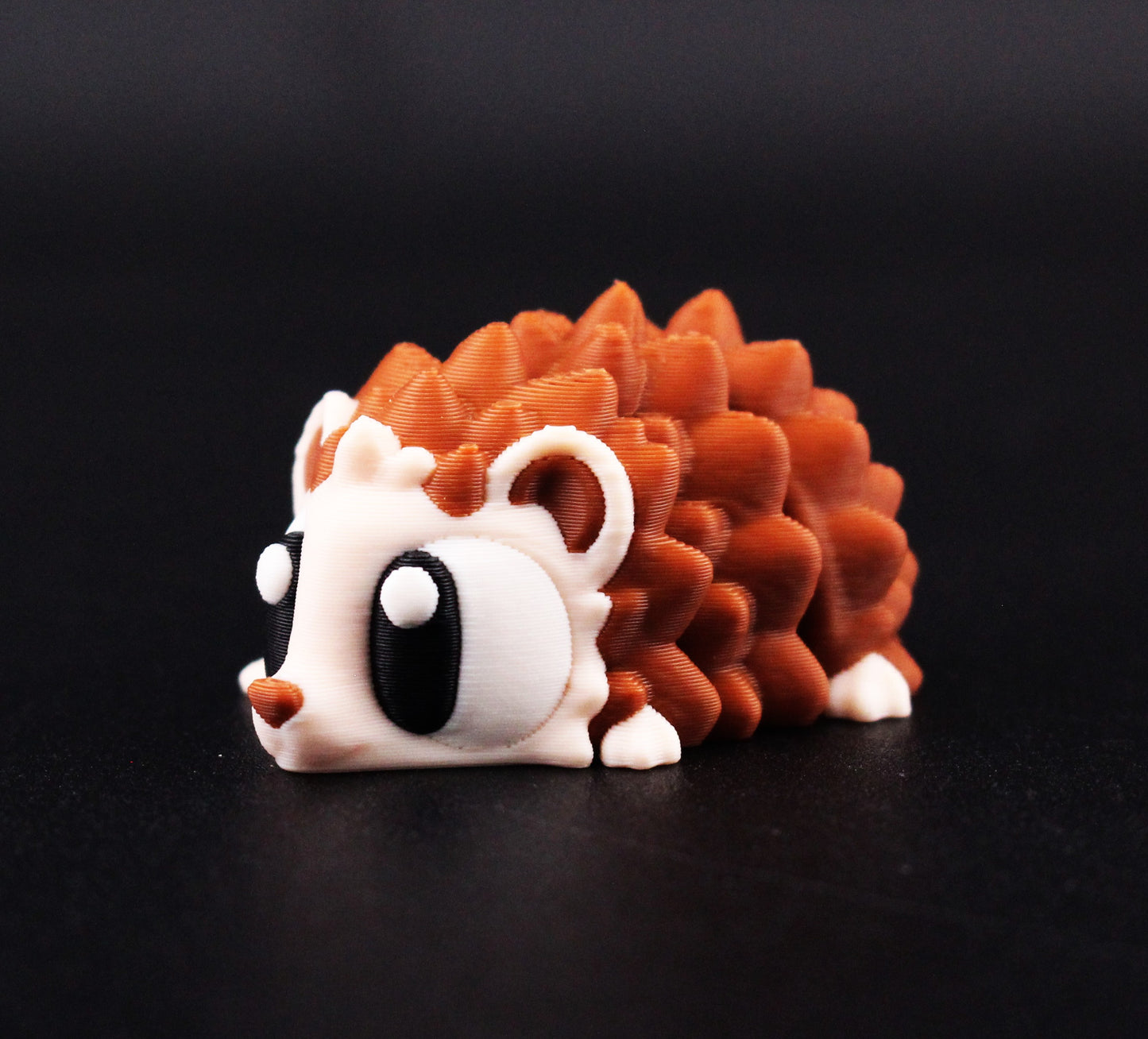 Echidna