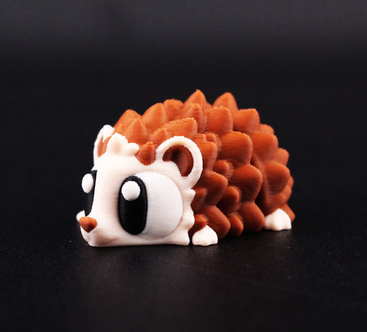 Echidna