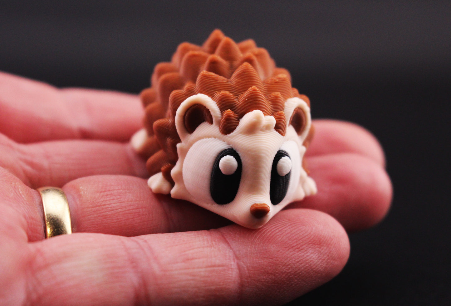 Echidna