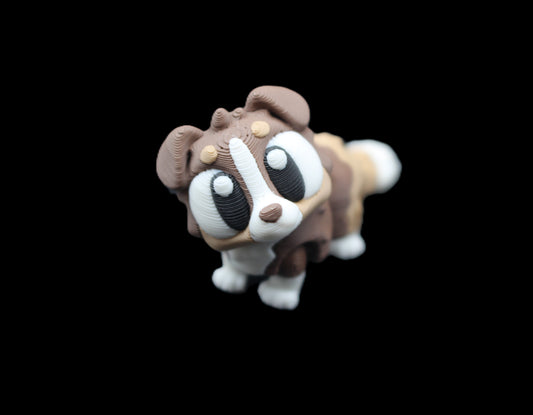 Australian Shepherd