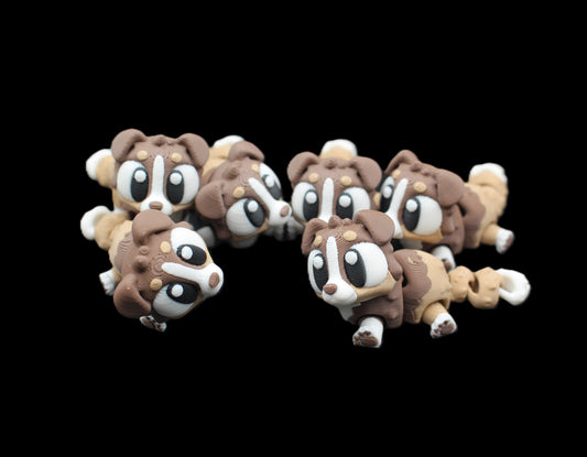 Australian Shepherd