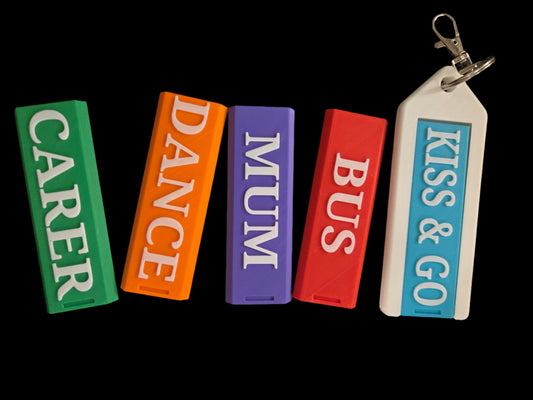 Bag Tag Insert Only