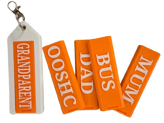 Interchangeable Bag Tag set