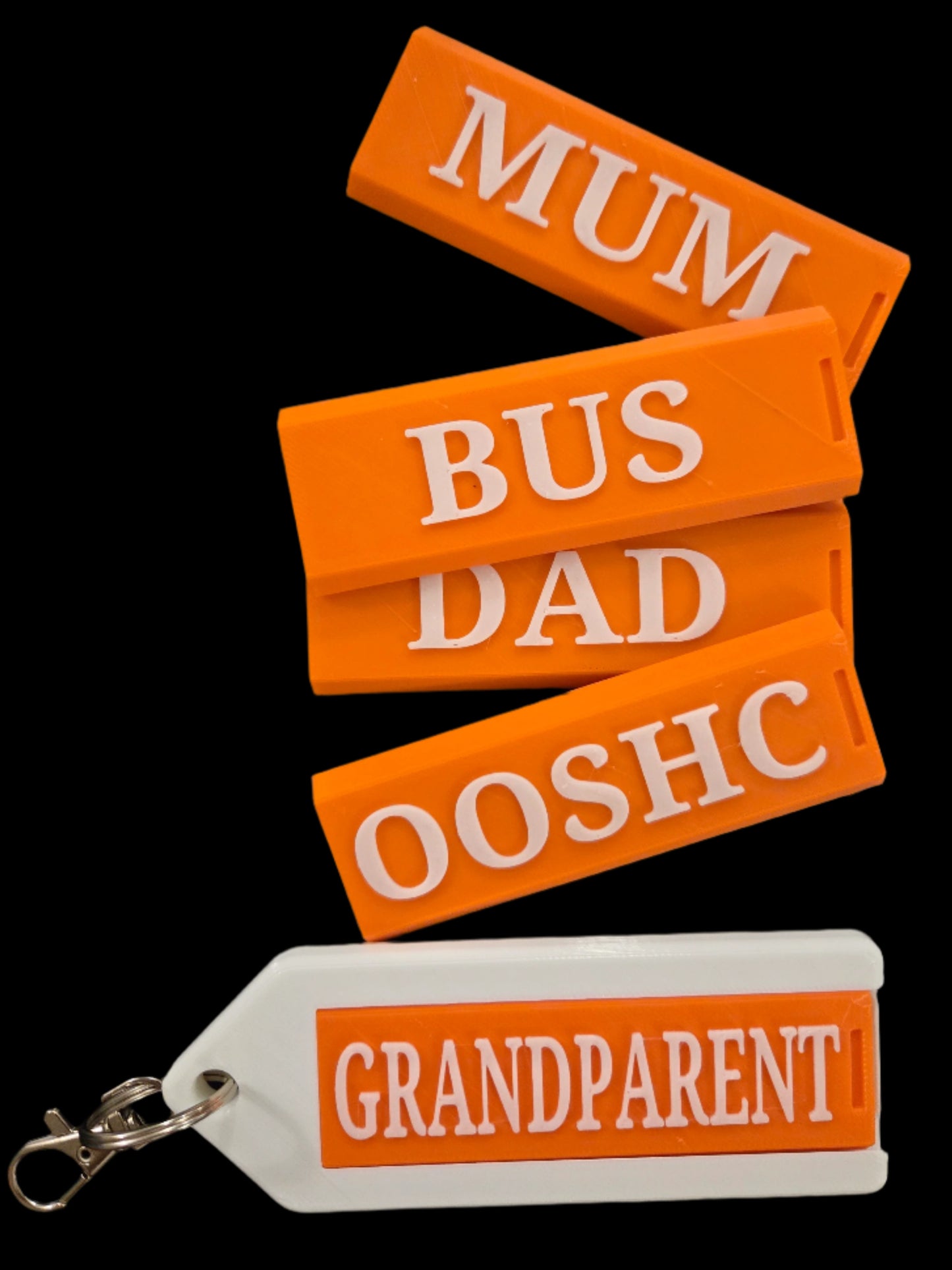 Interchangeable Bag Tag set